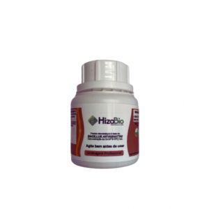 Bacillus Aryabhattai