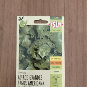Alface Grandes Lagos Americana
