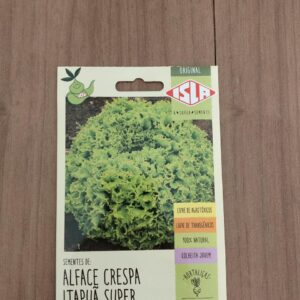 Alface Itapuã Crespa
