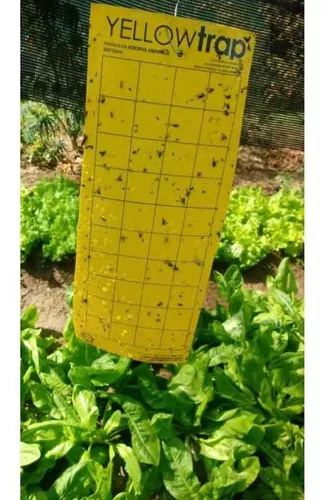 Armadilha Amarela Yellow Trap Coleagro - 10 Unidades - Image 3